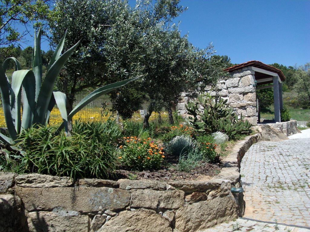 Quinta Do Mineiro-Serra Da Estrela Matanca 객실 사진