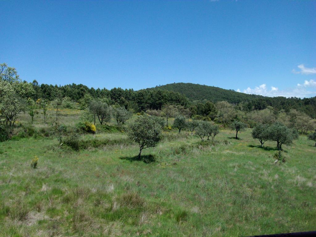 Quinta Do Mineiro-Serra Da Estrela Matanca 객실 사진