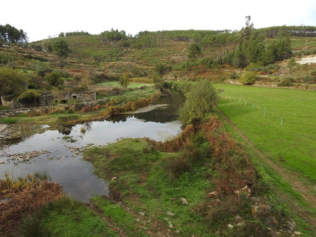 Quinta Do Mineiro-Serra Da Estrela Matanca 외부 사진